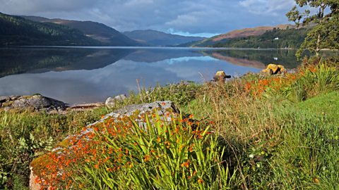 Reflections over Loch Sunart at the town of Strontian in the Scottish Highlands