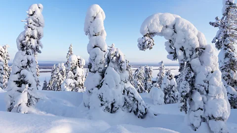Getty Images During the Winter War, Finnish troops took advantage of the snowy forest landscape and employed guerilla tactics (Credit: Getty Images)