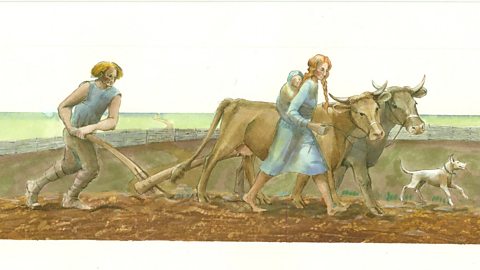 A reconstruction drawing of an Iron Age family ploughing the land.