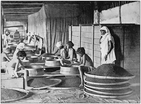 A black and white photograph of young people sifting tea in Assam. 