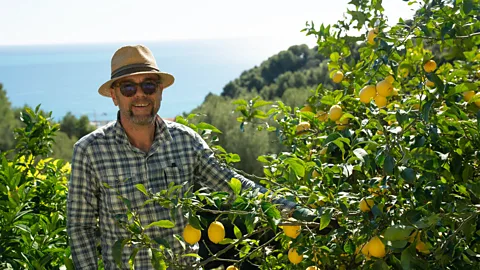 Menton lemons, the jewel of the Côte d'Azur