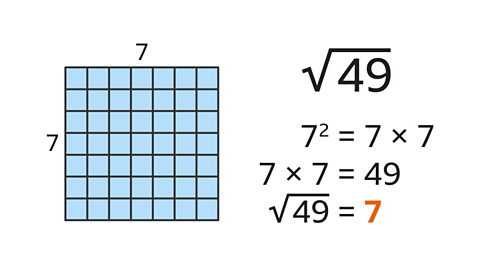 A diagram of a seven by seven grid with the top and left labelled seven. To the right: The square root of forty-nine. Seven squared equals seven multiplied by seven. Seven multiplied seven equals forty-nine. The square root of forty-nine equals seven – highlighted.