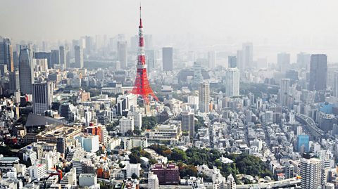 Tokyo from above.