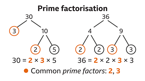 Prime factorisation. Two diagrams with equations: To the left: Thirty branching down to three (circled and highlighted) and ten. Ten branching down to two (highlighted) and five – both circled. Underneath: Thirty-six equals two multiplied by three multiplied by five. To the right: Thirty branching down to four and nine. Four branching down to two (highlighted) and two – both circled. Four branching down to three (highlighted) and three – both circled. Underneath: Thirty-six equals two multiplied by two multiplied by three multiplied by three. Below: Common prime factors: two, three – bullet pointed orange.