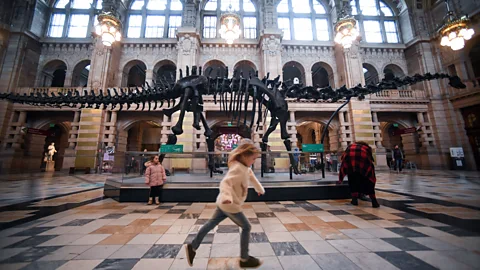 Getty Images What might future museum visitors make of 21st Century fossils? (Credit: Getty Images)