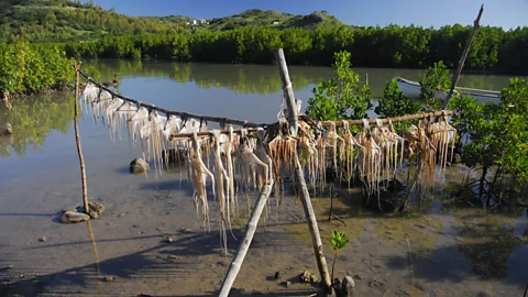 Anthony Ham A common sight on the island is octopus drying in the sun (Credit: Anthony Ham)