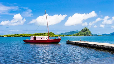 Alamy Mangroves on Union Island a fishery that provide fishermen of Union Island and nearby islands with sea bass, herring, snapper, lobster, conch and shrimp. (Credit: Alamy)