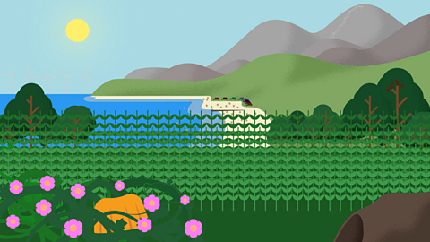 A cartoon of plants and flowers in bloom next to a beach.