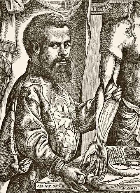 Andreas Vesalius, 1514 - 1564, was the author of influential anatomy book The Fabric of the Human Body.