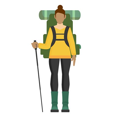 A walker with a walking pole and rucksack