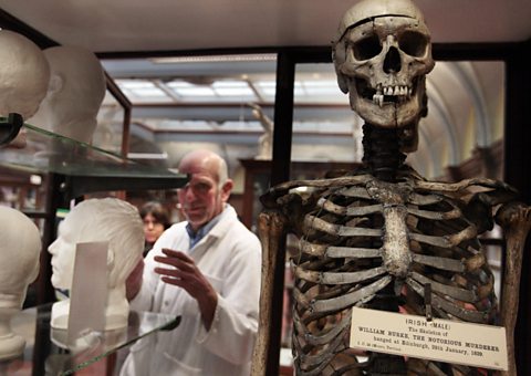 The skeleton of murderer William Burke at the Anatomy Museum, University of Edinburgh.