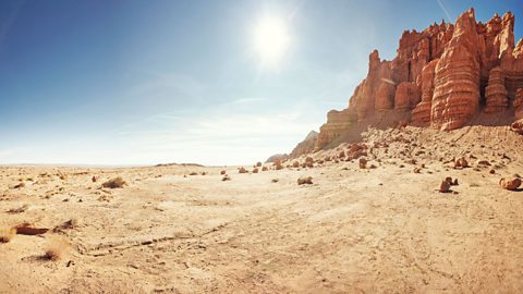 Desert landscape in the sun. 