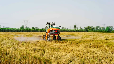 nurture.farm Applying a microbial spray to the crop waste allows the stalks to degrade into the soil, enriching it for the next harvest (Credit: nurture.farm)