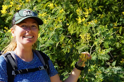 Chrissie McClatchie Maddy Polomeni is one of the few registered guides leading small groups along walking trails of La Route du Mimosa (Credit: Chrissie McClatchie)