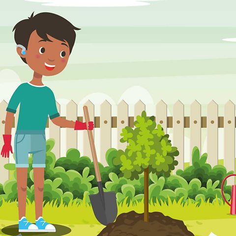 A little boy planting a tree in the garden.