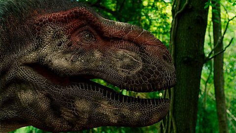 Dinosaurs: The Final Day quiz