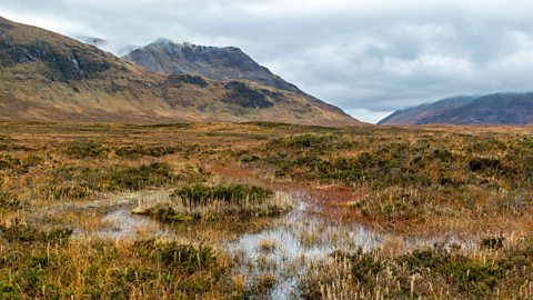 Bog located in Glencoe, the Scottish Highlands.