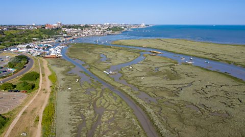 Marshes at the National Nature reserve, Leigh on Sea in Essex.