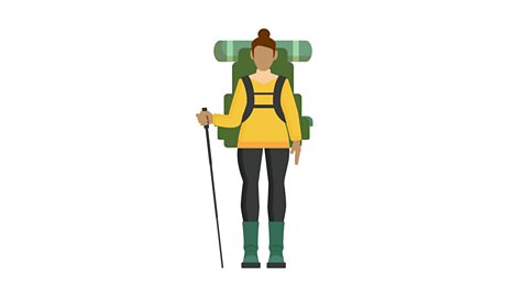 A walker with a rucksack and walking poles