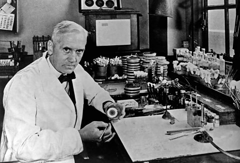 Sir Alexander Fleming was a Scottish biologist, pharmacologist and botanist. He accidentally discovered penicillin in 1928.