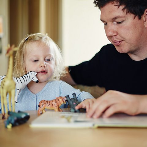 Girl and her dad sit at the table and play with some plastic animals and read a book about animals.