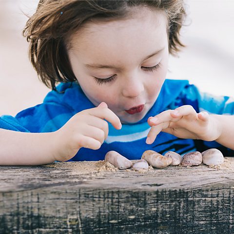 A young boy in a blue t-shirt is counting shells on a piece of driftwood