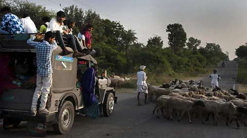 Sugato Mukherjee Pushpendra Singh Ranawat: "This human-leopard coexistence can only continue if the next generation of Rabaris carry on their herding tradition" (Credit: Sugato Mukherjee)