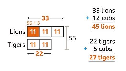 A diagram of two different sized bars with all blocks in both bars are labelled eleven. The first is split into three blocks and labelled lions – with the first block highlighted and fifty-five divided by five above it. On top: thirty-three (highlighted) with arrows pointing to each end. The second is two blocks long and labelled tigers. Underneath: Twenty-two – highlighted with an arrow pointing to each end. To the right: A vertical bracket around all the bars  labelled fifty-five. Thirty-three lions plus twelve cubs equals forty-five lions – highlighted. Twenty-two tigers plus five cubs equals twenty-seven tigers – highlighted.