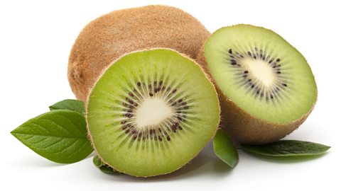 kiwi cut in half with a whole kiwi behind it