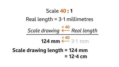 Scale forty (highlighted) to one. Real length equals three point one millimetres. Real length with an arrow labelled multiplied by forty pointing to scale drawing over three point one millimetres with an arrow labelled multiplied by forty pointing to one-hundred and twenty-four millimetres. Below: Scale drawing length equals one-hundred and twenty-four millimetres equals twelve point four centimetres.