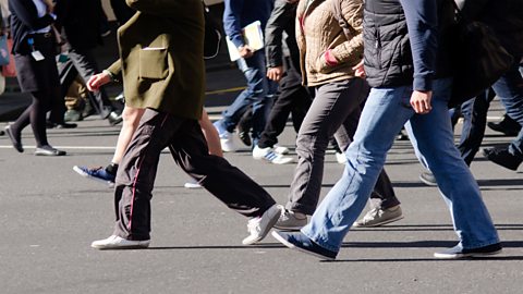 Legs crossing a road.