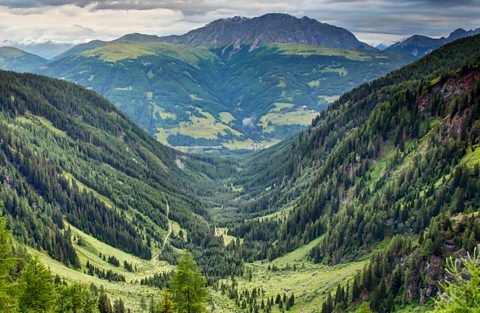 A photo of a valley covered in grass and trees