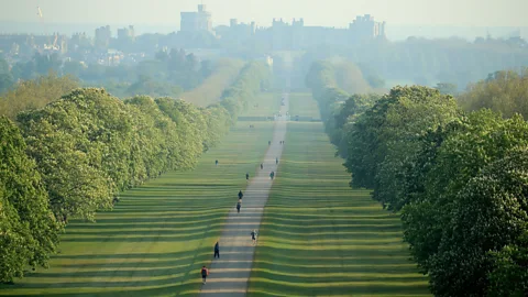 Getty Images Perfectly manicured lawns have been status symbols for centuries (Credit: Getty Images)