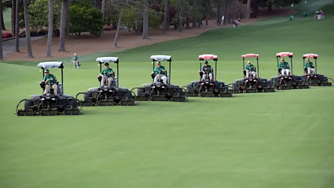 Getty Images Golf course lawns may have contributed to the current focus on achieving a perfect green carpet (Credit: Getty Images)