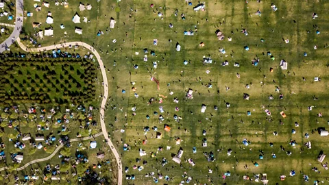 Getty Images Though the concept of cut grass began in the West in the 13th Century, it's since caught on arond the globe (Credit: Getty Images)