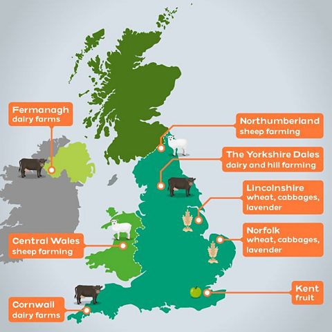 A map of the different types of farming in the UK and different produce from each area.