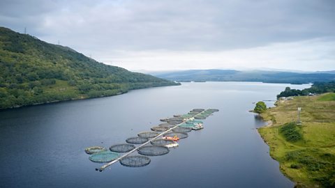 Salmon fish farm in Loch Awe in Scotland.