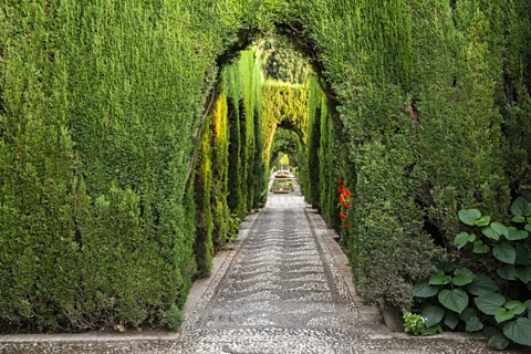 Juana Mari Moya/Getty Images The intricate system brings colour to the famed gardens of the Generalife, the former summer palace next door to the Alhambra. (Credit: Juana Mari Moya/Getty Images)
