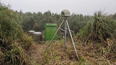Dinah Gardner Monitoring equipment in Xiaoyoukeng features a GPS sensor (green dome), underground seismometer (marked by two silver drums on the left) and tiltmeter (Credit: Dinah Gardner)