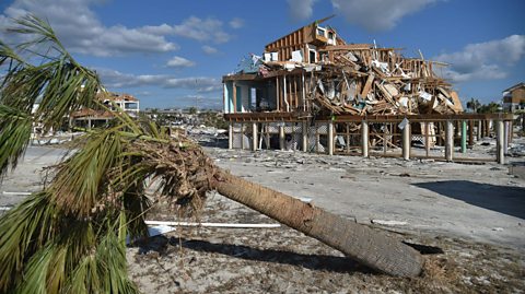 Damaged buildings and trees caused by Hurricane Michael in Mexico Beach, Florida in 2018.