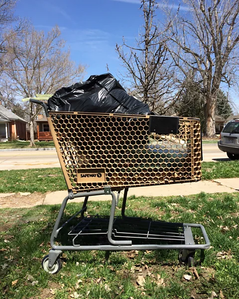 Getty Images Our waste reveals deep insights about our shopping habits (Credit: Getty Images)