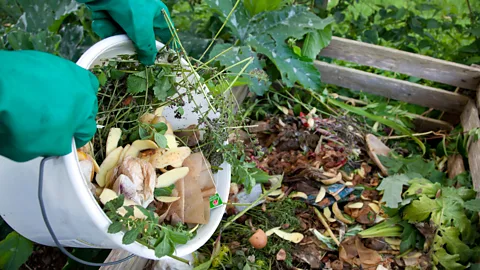Alamy Food waste which is composted releases just 14% the greenhouse gases of food that goes to landfill (Credit: Alamy)