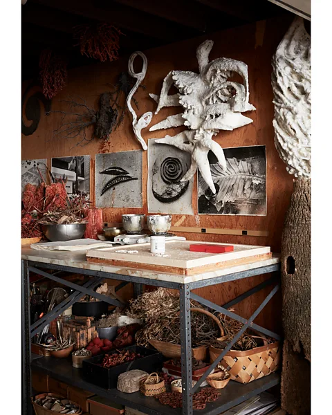 Ngoc Minh Ngo Michele Oka Doner's New York apartment reflects her love of natural objects, inspired by her childhood by the sea in Miami (Credit: Ngoc Minh Ngo)