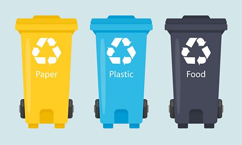 Types of bins: Paper, plastic and food.