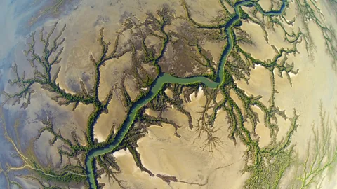 Al Sim – GOSOARING Burketown is the only place on the planet where the Morning Glory occurs on a regular basis (Credit: Al Sim – GOSOARING)