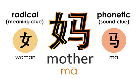 The Mandarin character for 'mother' has the radical for 'woman' on the left. Its pronunciation is found in the character for 'horse' to the right of it.