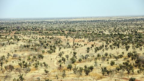 The Sahel region in Mali