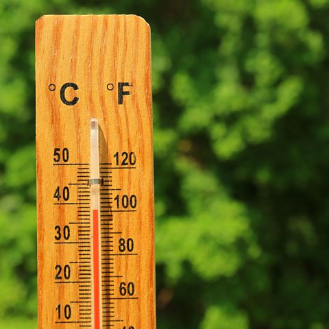 Closeup of a wooden thermometer against green foliage showing high temperature.