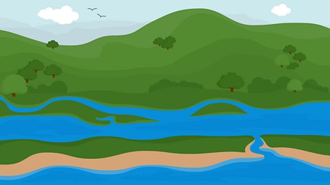 An illustration of a wetland area