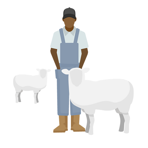 A farmer with two sheep